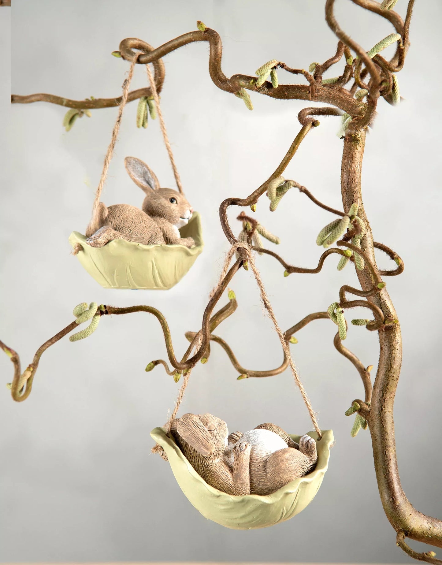 Kaniner | hängande i kålblad