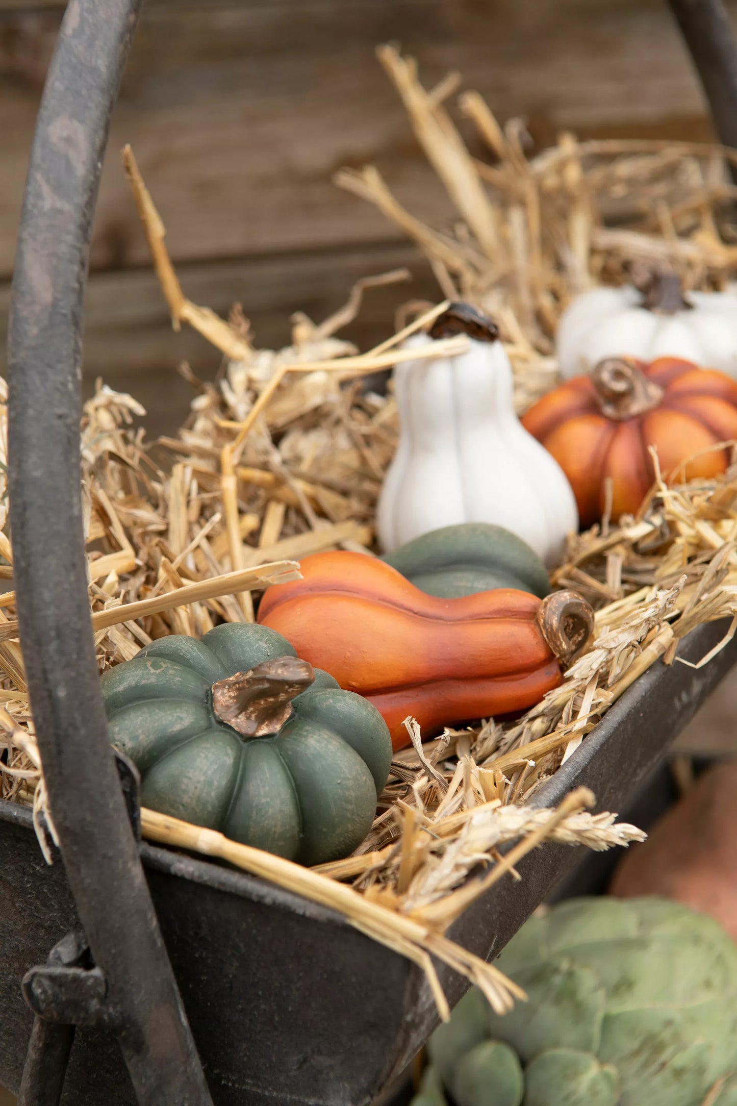 Mini Pumpa | Dekoration